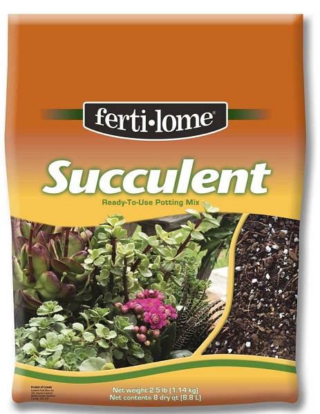 FE 8QT Succulent Mix